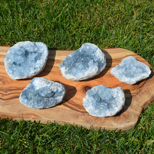 Coelestin Druse, wähle deinen Favoriten