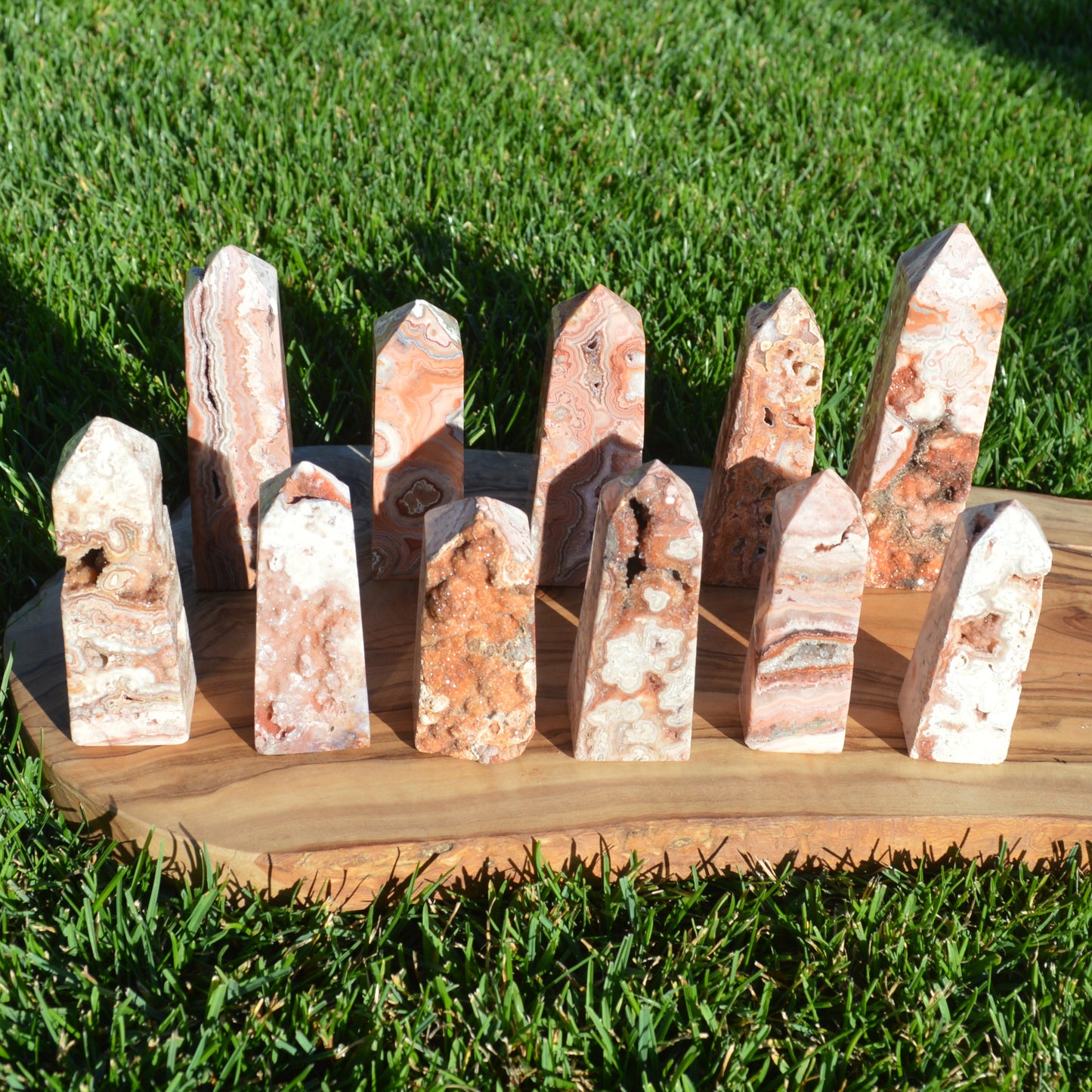 Pink Crazy Lace Achat Turm - wähle deinen Favoriten