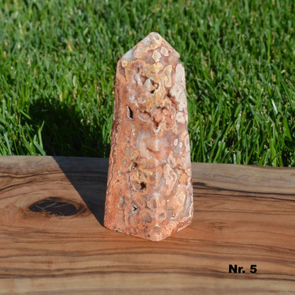 Pink Crazy Lace Achat Turm - wähle deinen Favoriten