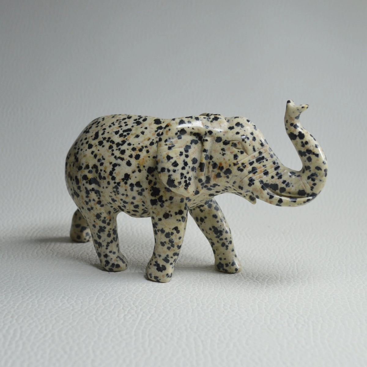Dalmatiner Jaspis Elefant