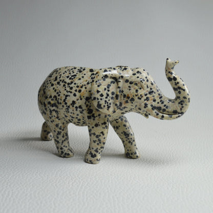 Dalmatiner Jaspis Elefant