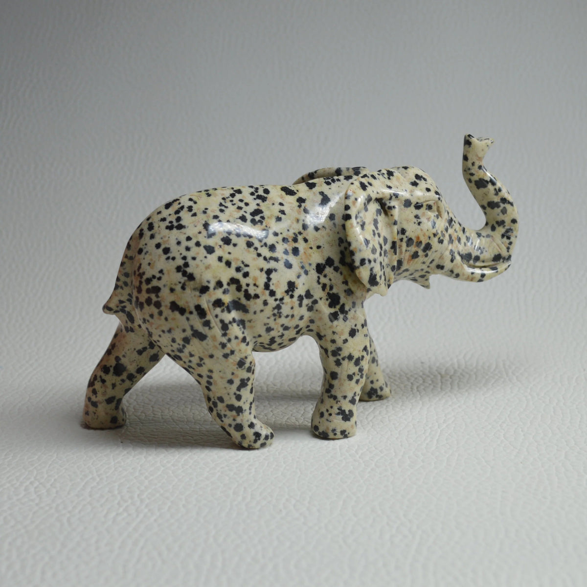 Dalmatiner Jaspis Elefant