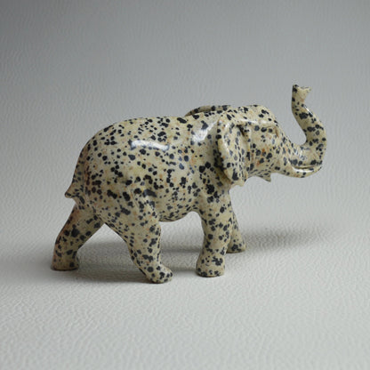 Dalmatiner Jaspis Elefant