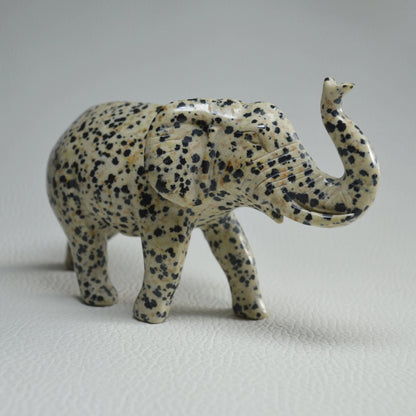 Dalmatiner Jaspis Elefant