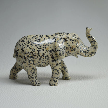 Dalmatiner Jaspis Elefant
