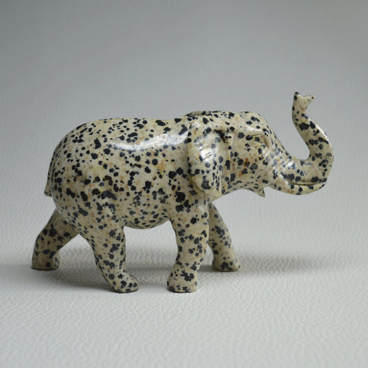 Dalmatiner Jaspis Elefant