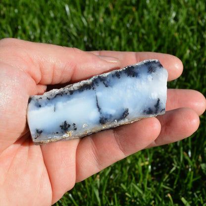 Dendritenopal Rohstein, teilpoliert