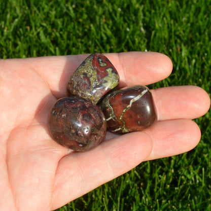 Drachenblut Jaspis Trommelstein