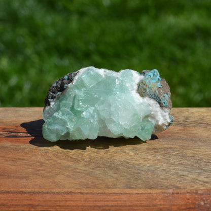Grüner Fluorapophyllit (Aphophyllit) Stufe