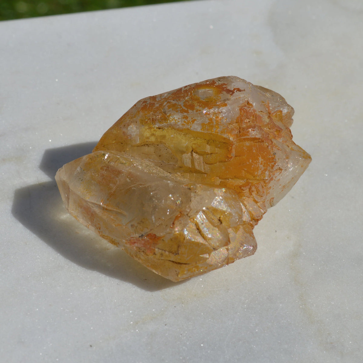 Golden Healer Doppelender Zwilling mit mehreren Spitzen