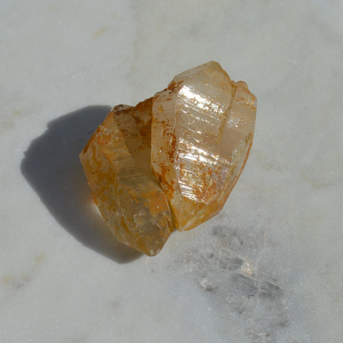 Golden Healer Doppelender Zwilling mit mehreren Spitzen
