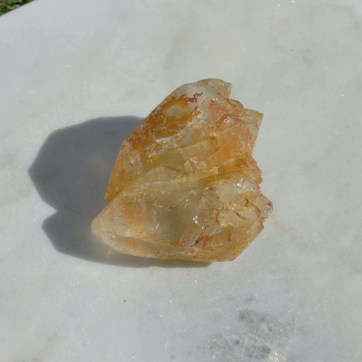 Golden Healer Doppelender Zwilling mit mehreren Spitzen