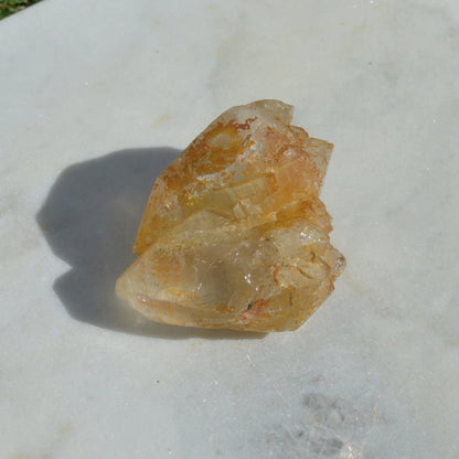 Golden Healer Doppelender Zwilling mit mehreren Spitzen