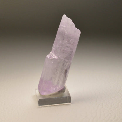 Kunzit auf Acrylsockel