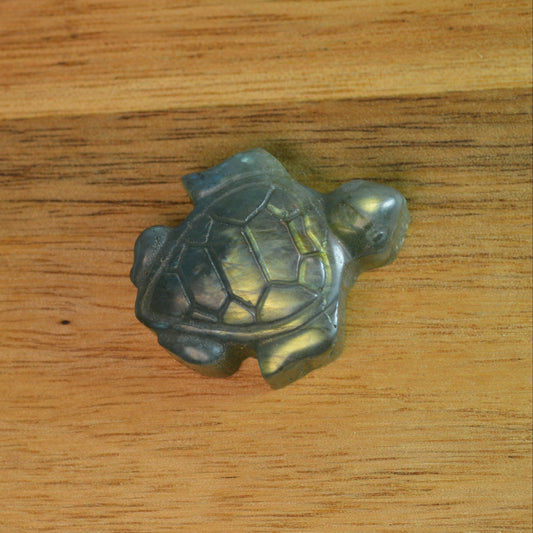 Labradorit Schildkröte