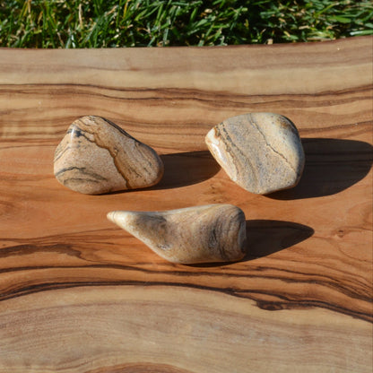 Landschafts Jaspis Trommelstein