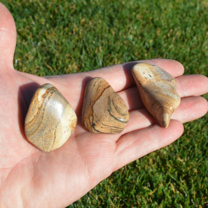 Landschafts Jaspis Trommelstein