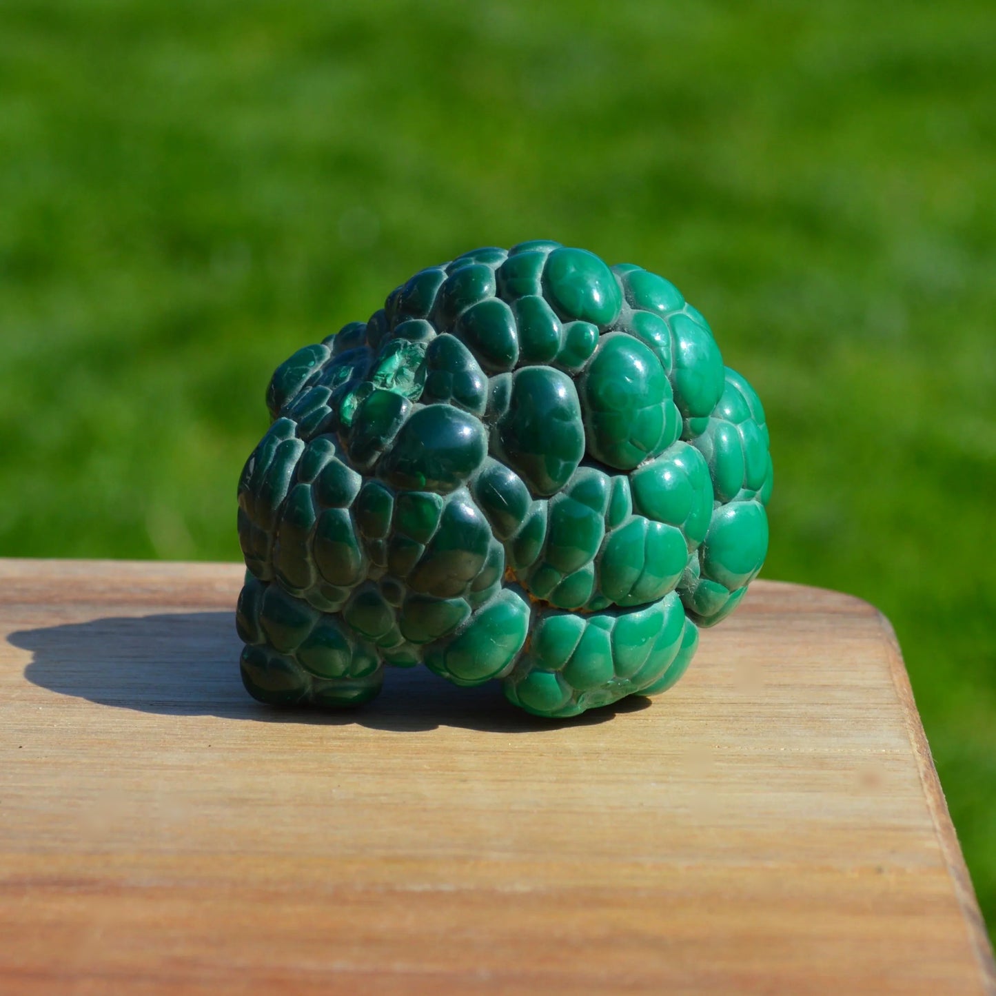 Malachit Rohstein (botryoidal)
