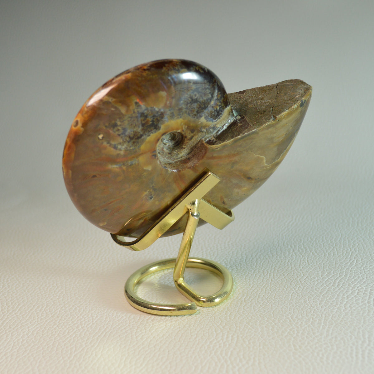 Opalisierender Ammonit aus Madagaskar auf Metallhalterung – Rückseite.