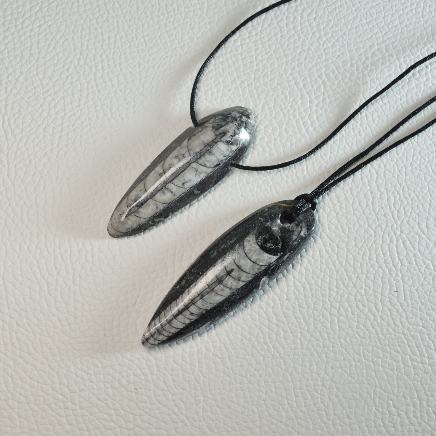 Orthoceras Anhänger - Fossil