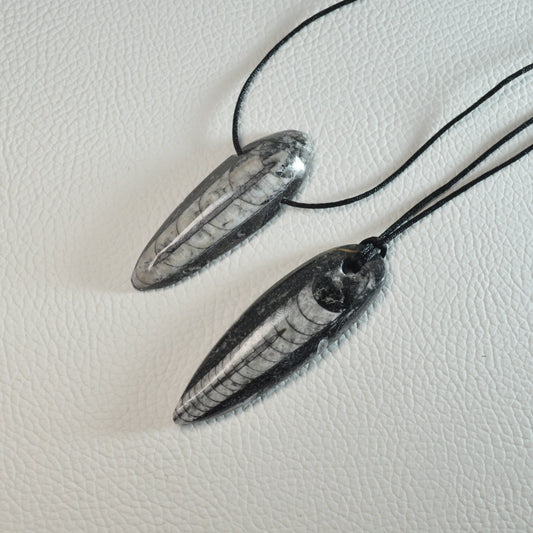 Orthoceras Anhänger - Fossil