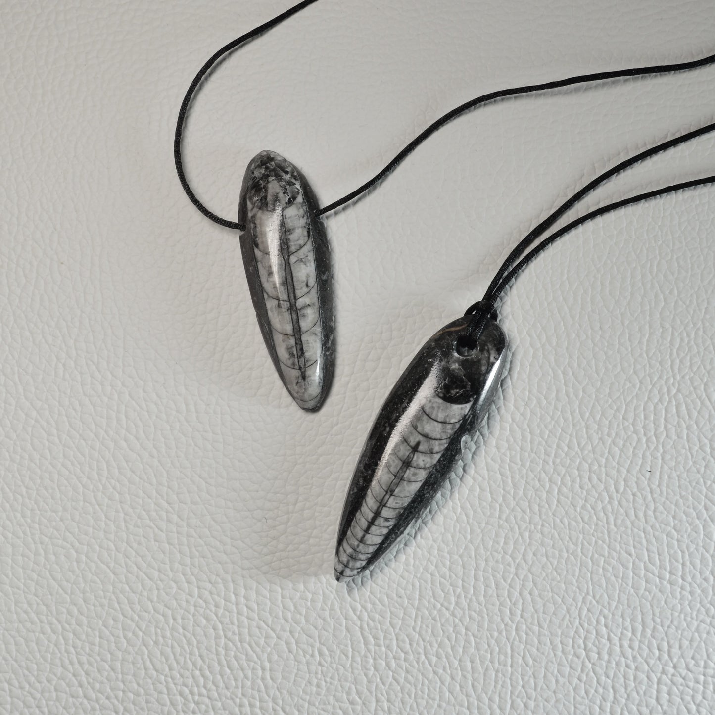 Orthoceras Anhänger - Fossil