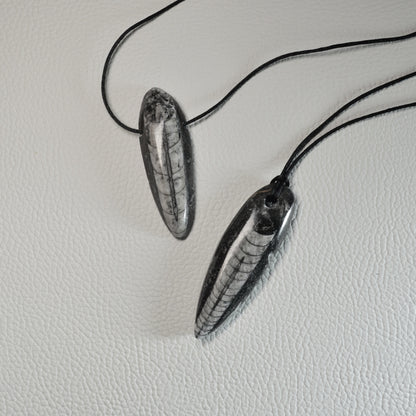 Orthoceras Anhänger - Fossil