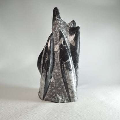 Orthoceras Turm 2kg