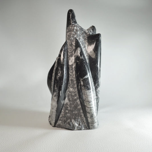 Orthoceras Turm 2kg