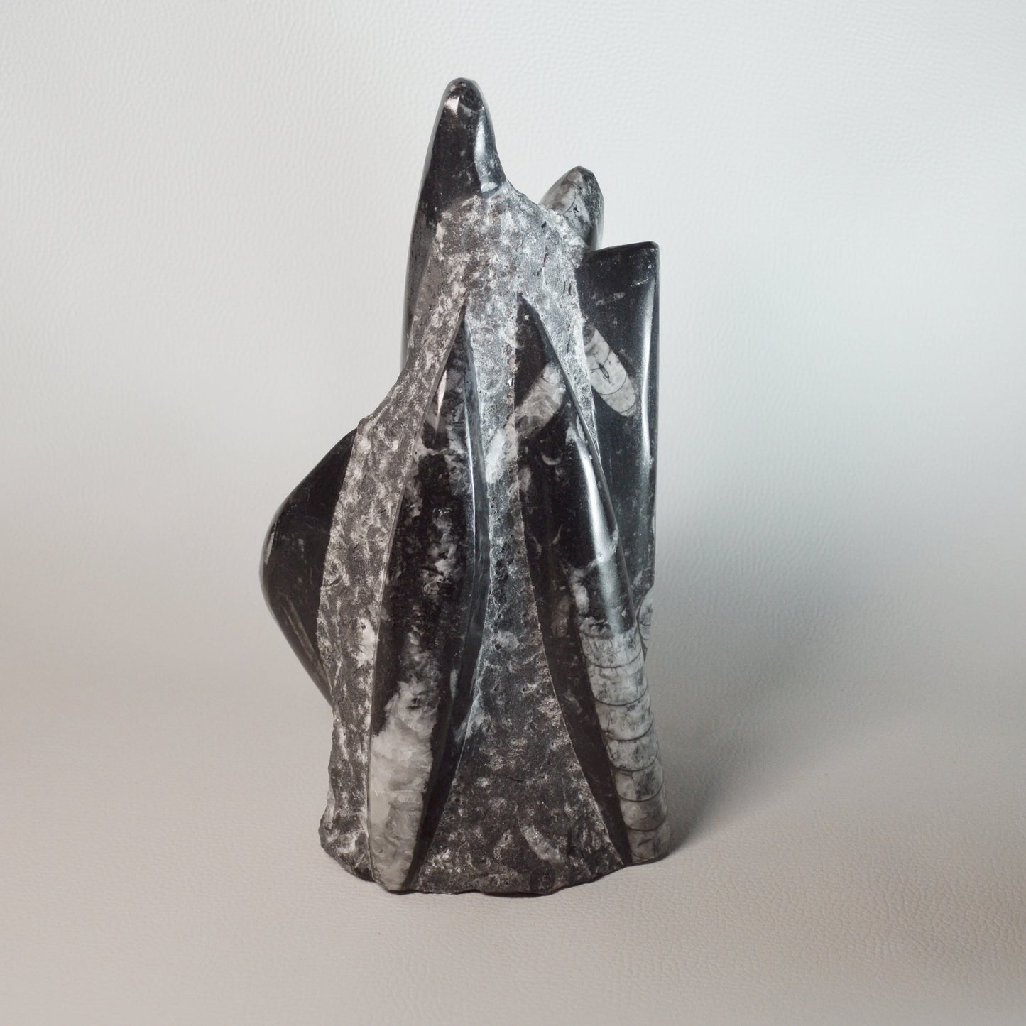 Orthoceras Turm 2kg