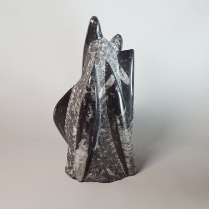 Orthoceras Turm 2kg