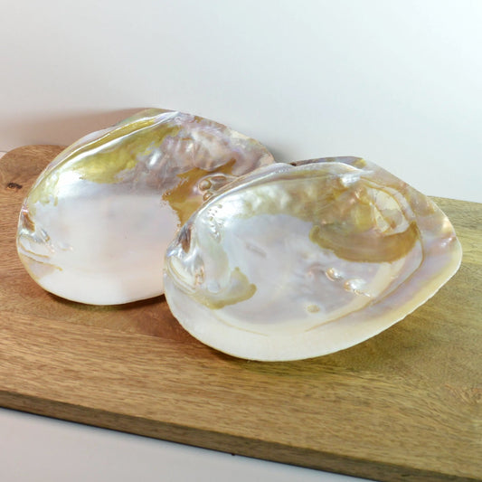 Perlmutt Muschel mit Perle – ideal als Deko, für Schmuckaufbewahrung oder Energiearbeit.