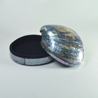 Regenbogen Abalone Schmuckschatulle mit Perlmutt, handgefertigt aus Paua-Muschel (Haliotis iris).