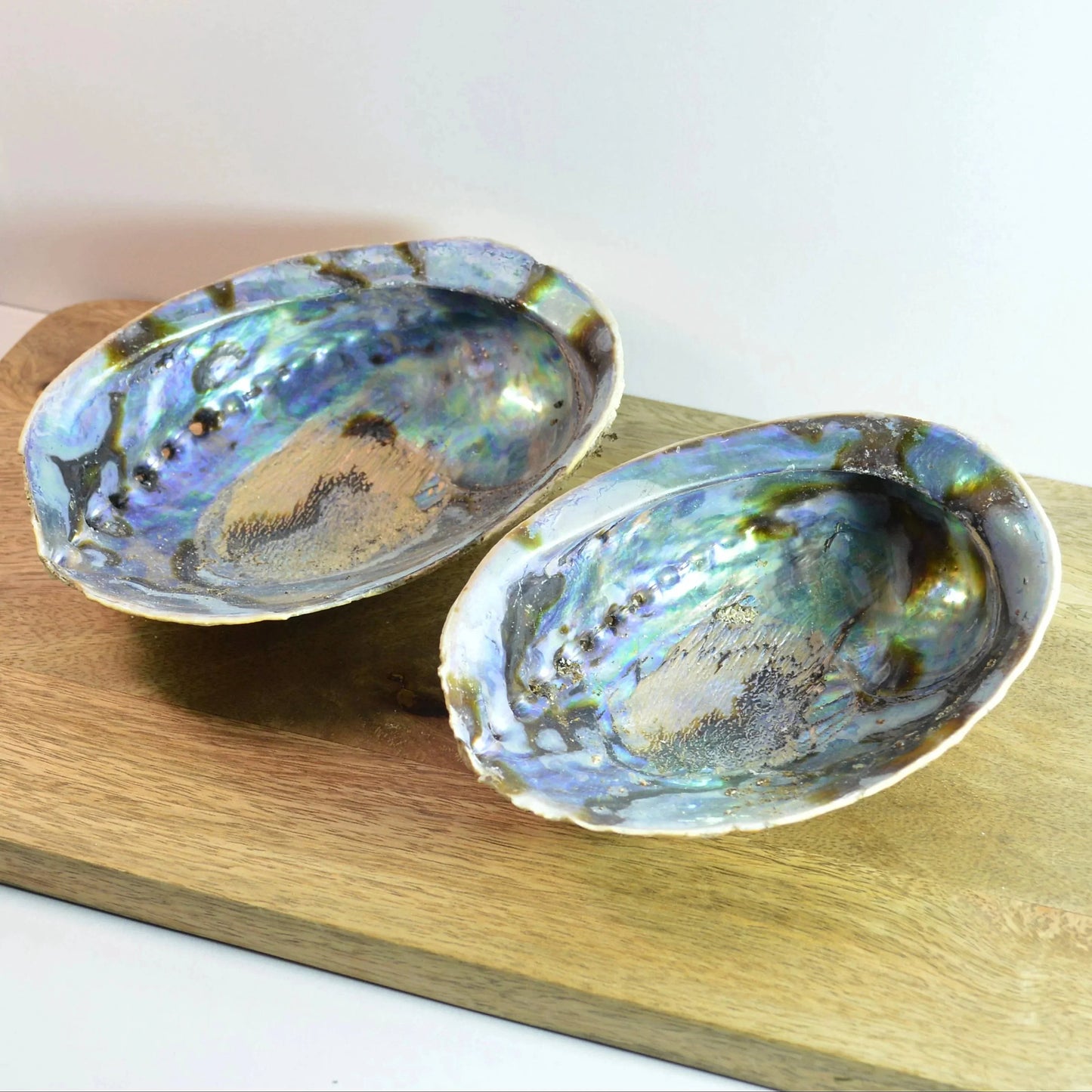 Regenbogen Abalone (Haliotis iris / Paua) zum Auf- und Entladen von Kristallen und Edelsteinen und mehr.