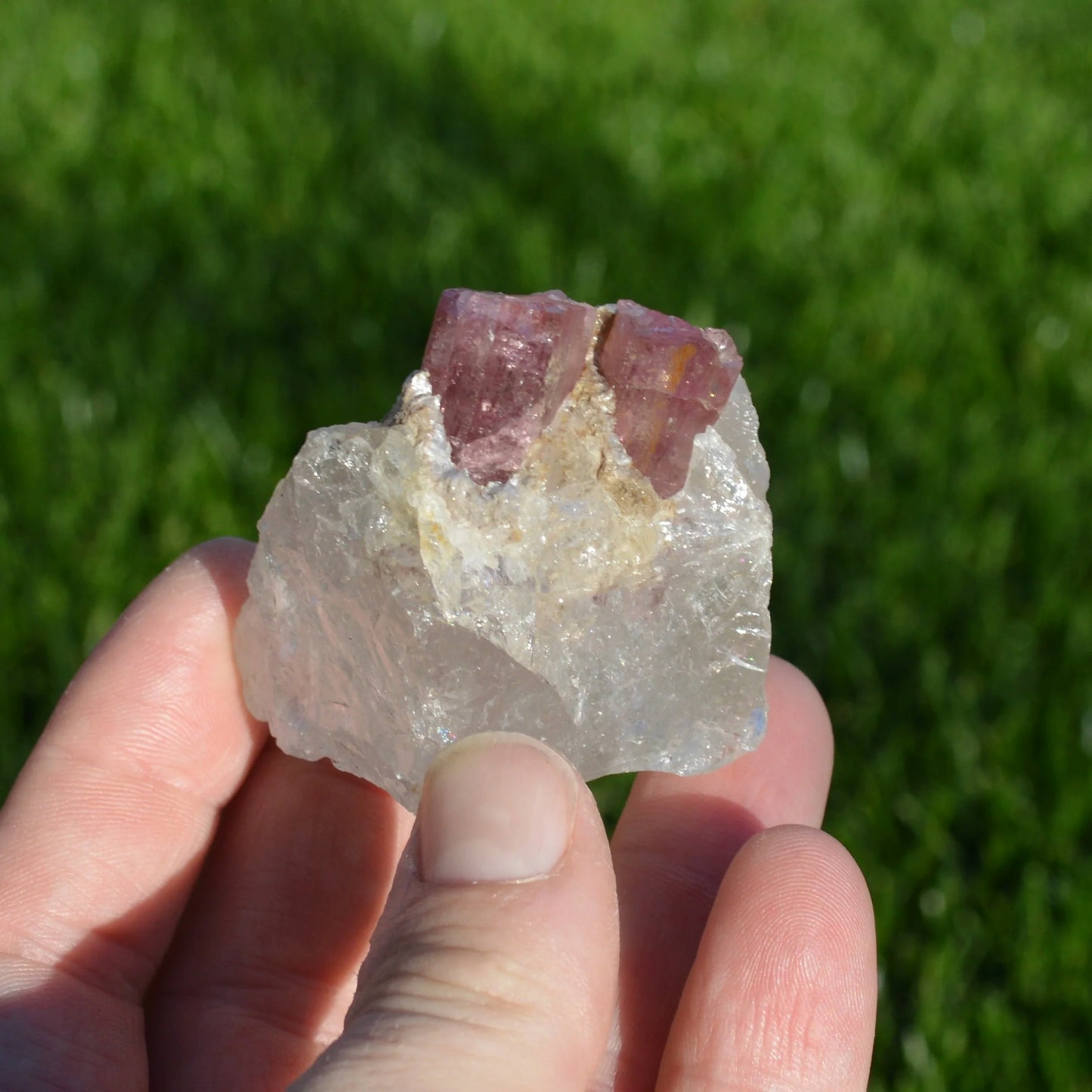 Rubellit-Turmalin in Quarz Stufe