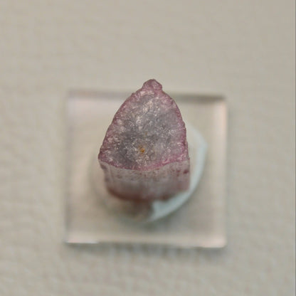 Bicolor-Turmalin auf Acrylsockel