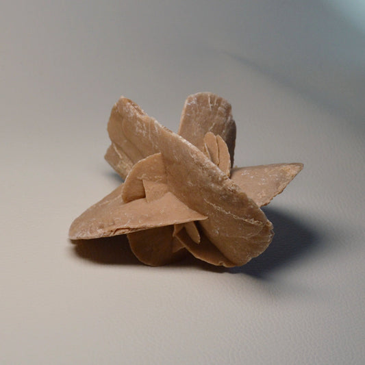 Sandrose (Wüstenrose)