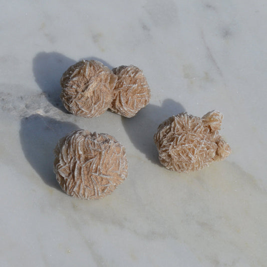 Sandrose (Wüstenrose)