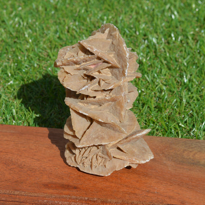 Sandrose (Wüstenrose)