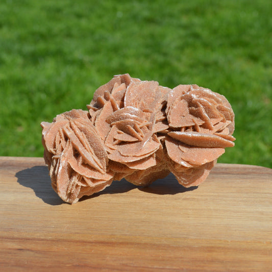 Sandrose (Wüstenrose)