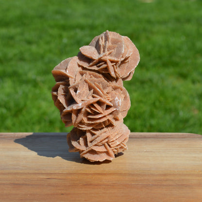 Sandrose (Wüstenrose)