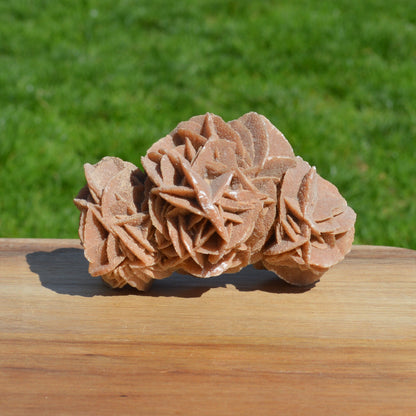 Sandrose (Wüstenrose)
