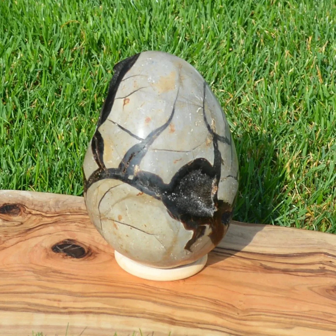 Septarie Ei mit Druse 2,30Kg