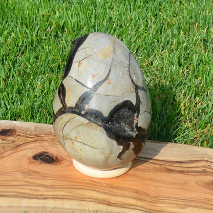 Septarie Ei mit Druse 2,30Kg