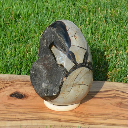 Septarie Ei mit Druse 2,30Kg