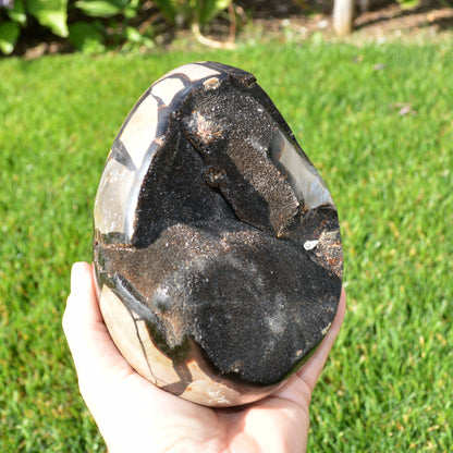 Septarie Ei mit Druse 2,30Kg