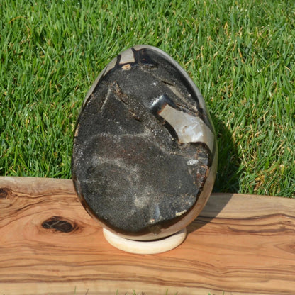 Septarie Ei mit Druse 2,30Kg