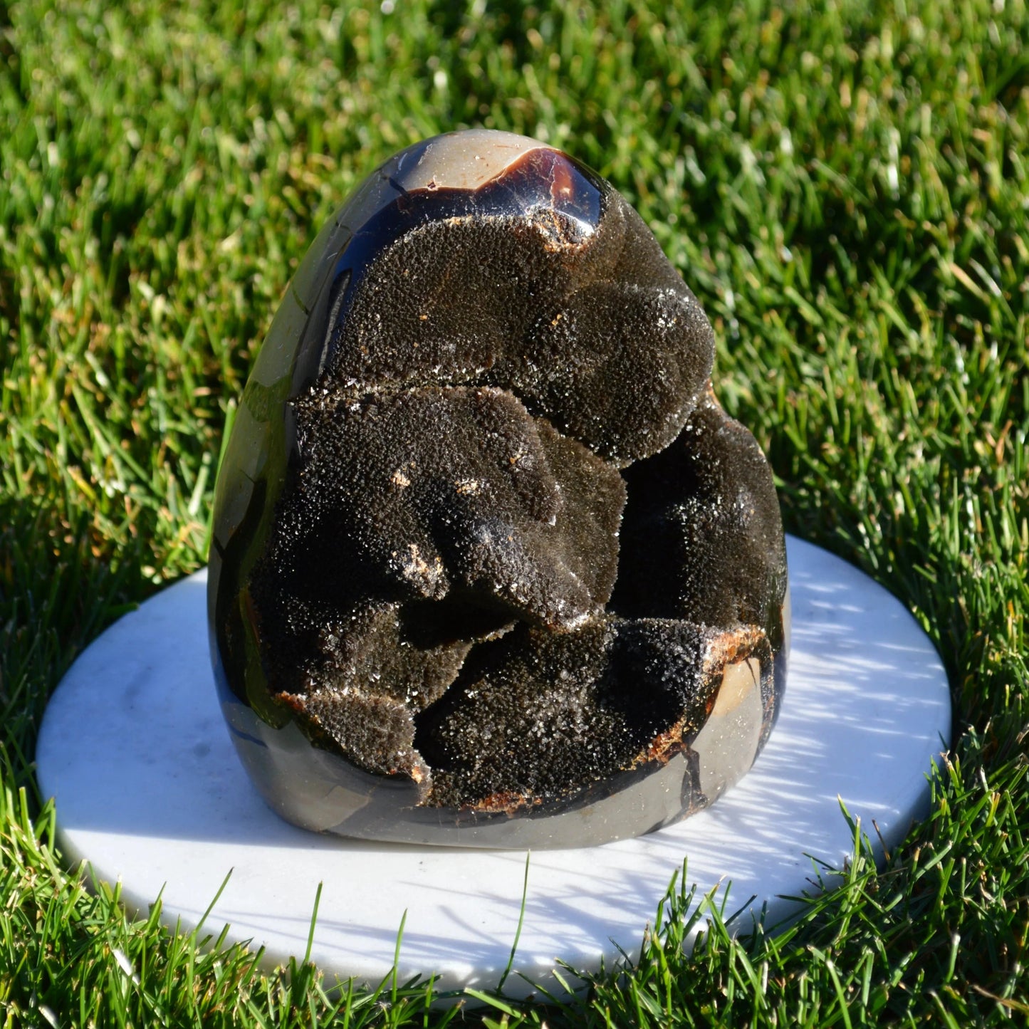 Septarie Freiform mit Druse 1,97Kg