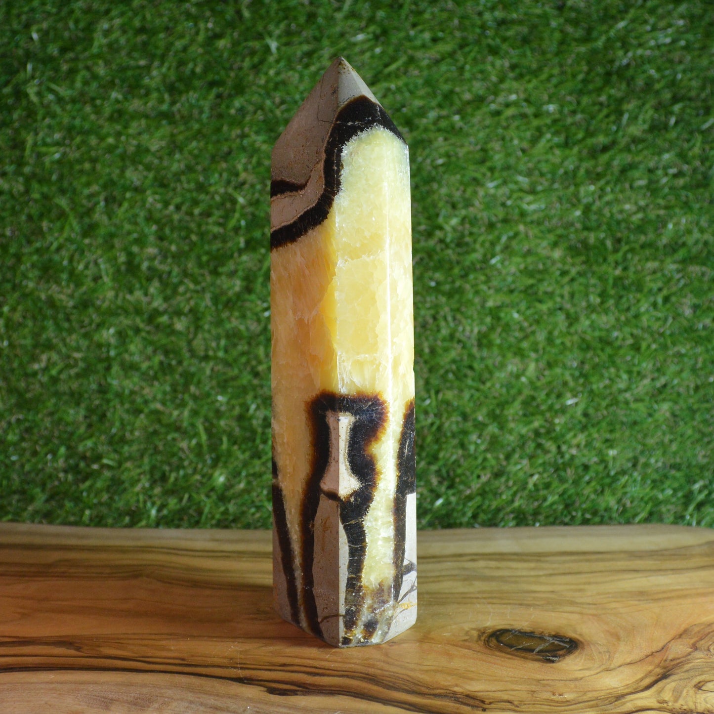 Septarie Turm (Groß)