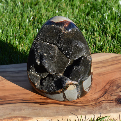 Septarie Freiform mit Druse 1,97Kg